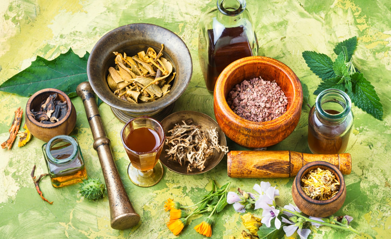 Kerala’s Ayurvedic Practitioners Guiding You to Natural Recovery